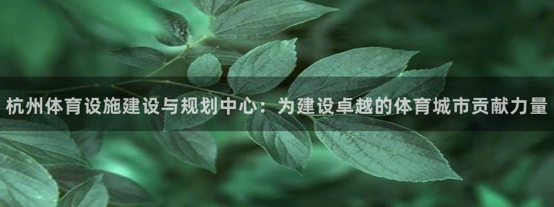 尊龙d88官网新版