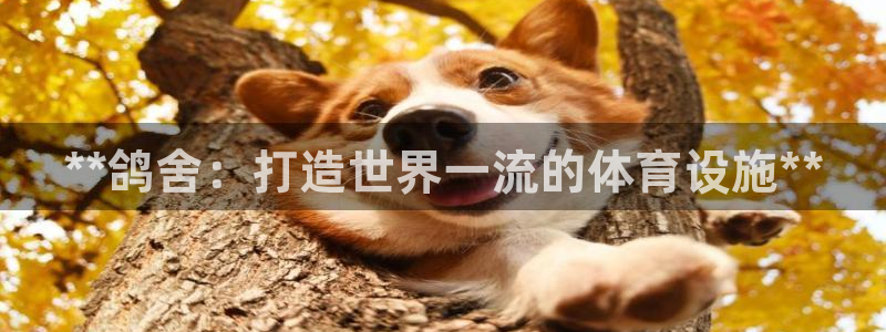 z6尊龙凯时ag旗舰厅