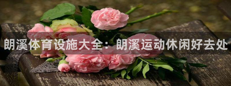 尊龙app怎么样