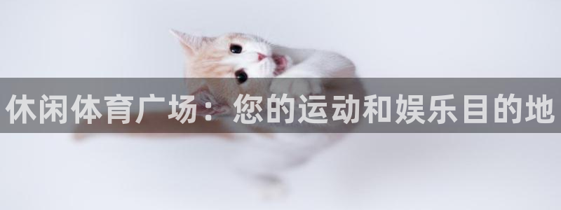尊龙凯时平台信誉怎样