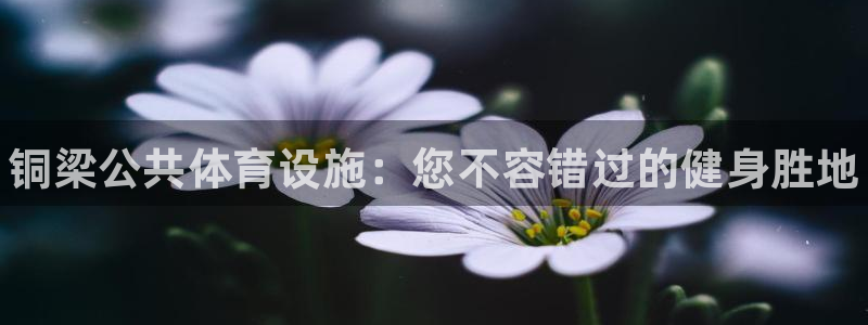尊龙凯时是正规平台吗