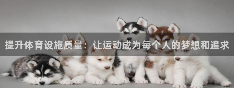 尊龙网平台