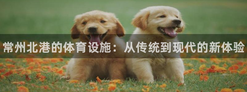 尊龙凯时能提现吗