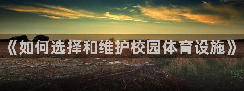 尊龙休闲e站怎么样