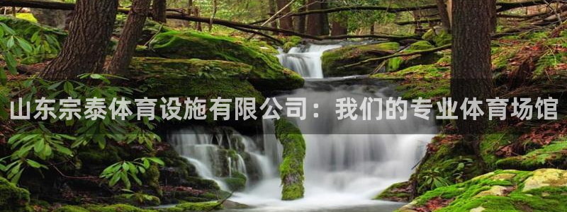 凯时尊龙app国际官方网站