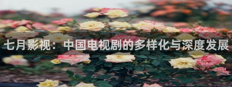 黑狐影院6080电影网：七月影视：中国电视剧的多样化与深度发展