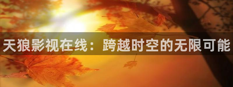 6080黑狐影院：天狼影视在线：跨越时空的无限可能