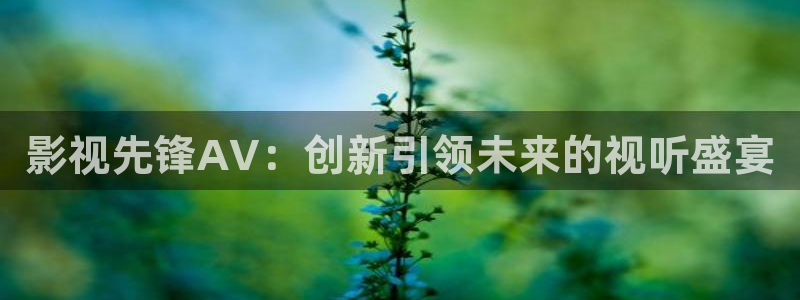 黑狐影院神马电影网：影视先锋AV：创新引领未来的视听盛宴