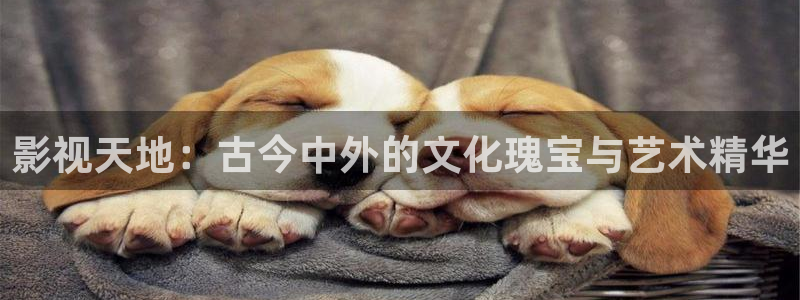 皮特黑狐影院：影视天地：古今中外的文化瑰宝与艺术精华