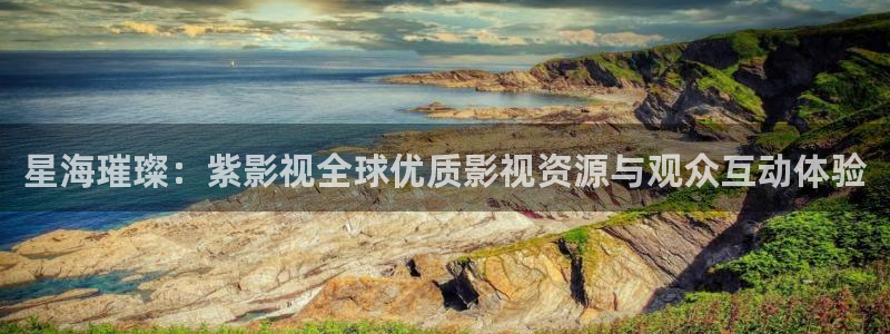 黑狐影院皮特电影：星海璀璨：紫影视全球优质影视资源与观众互动体验
