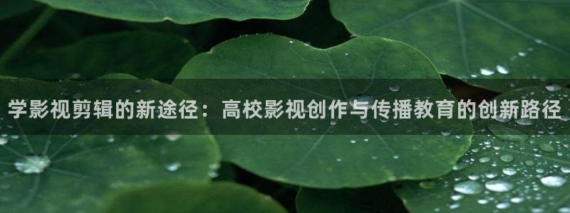 皮特黑狐影院：学影视剪辑的新途径：高校影视创作与传播教育的创新路径