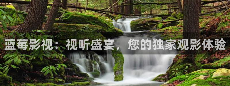 黑狐影院高清免费观看：蓝莓影视：视听盛宴，您的独家观影体验