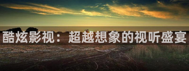 黑狐影院高清免费观看：酷炫影视：超越想象的视听盛宴
