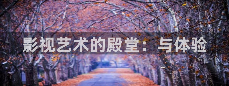 黑狐影院官网手机在线观看免费：影视艺术的殿堂：与体验